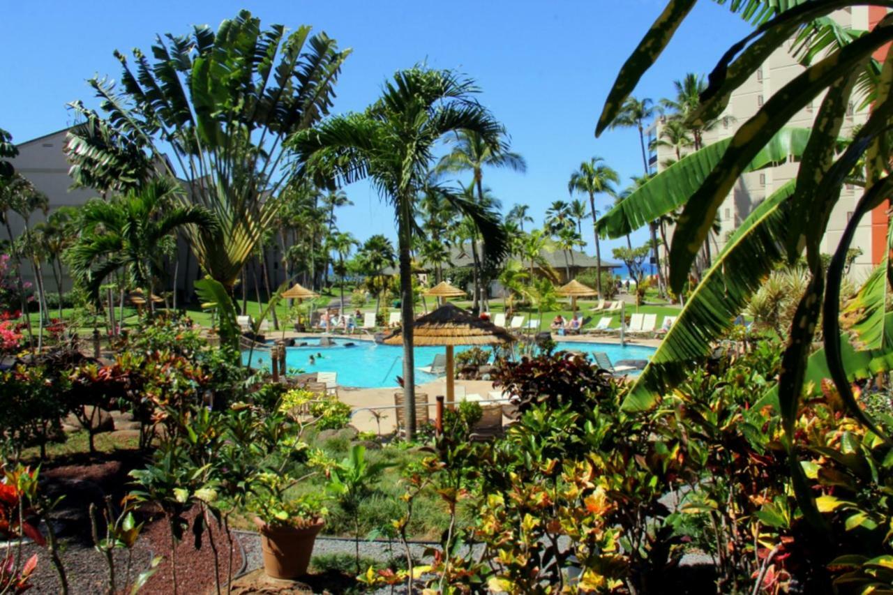 Kaanapali Shores 647 Exterior photo